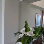 Beachfront Bliss 3br With Panoramic Sea View * Oroklini