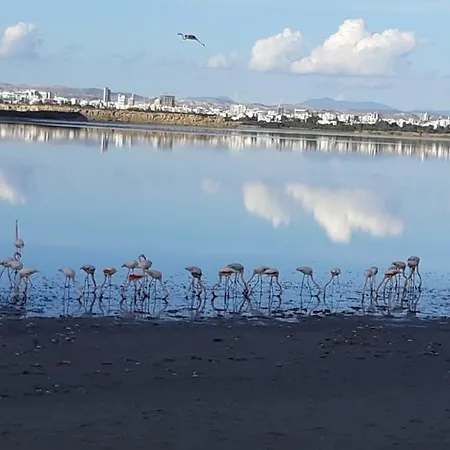 Enjoy Sunrise At Spacious 3br Flat By The Seafront