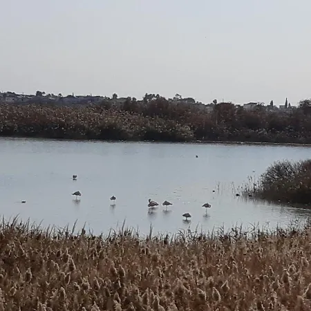 Enjoy Sunrise At Spacious 3br Flat By The Seafront Voróklini