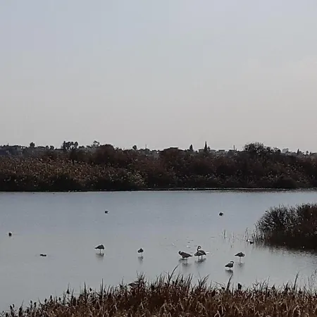 Enjoy Sunrise At Spacious 3br Flat By The Seafront Βορόκλινη