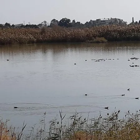 Enjoy Sunrise At Spacious 3br Flat By The Seafront Διαμέρισμα Βορόκλινη