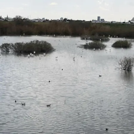 Enjoy Sunrise At Spacious 3br Flat By The Seafront * فوروكليني