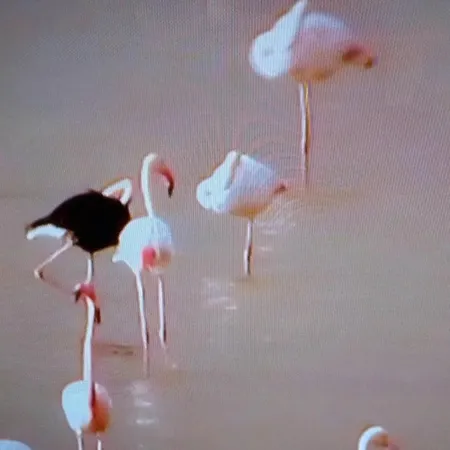 Enjoy Sunrise At Spacious 3br Flat By The Seafront