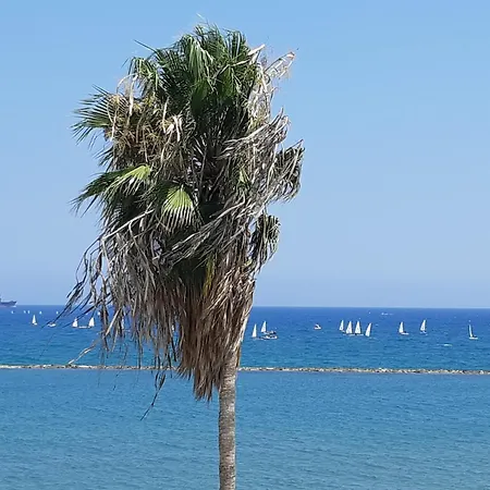 Enjoy Sunrise At Spacious 3br Flat By The Seafront *