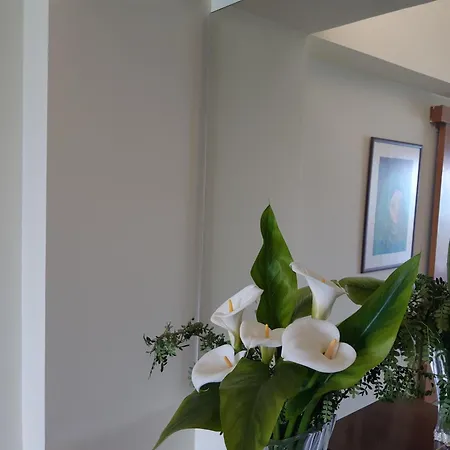 Beachfront Bliss 3br With Panoramic Sea View * Βορόκλινη