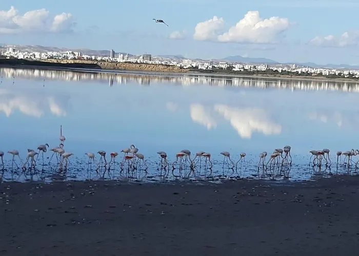 Enjoy Sunrise At Spacious 3br Flat By The Seafront