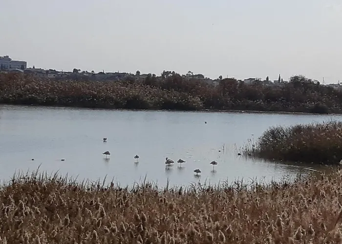 Enjoy Sunrise At Spacious 3br Flat By The Seafront Voroklini