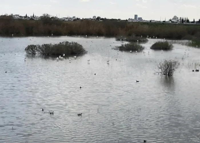 Enjoy Sunrise At Spacious 3br Flat By The Seafront * Voroklini